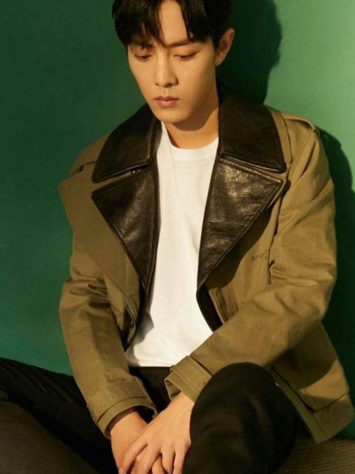 肖战绯闻爆料视频大全,揭秘网络舆论背后的真相  第1张