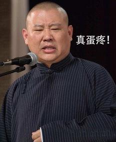 郭德纲爆料黑粉事件视频,一场网络暴力的真实写照  第2张