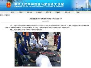 新船员最新爆料新闻事件,揭秘海上惊险事件背后的真相  第1张